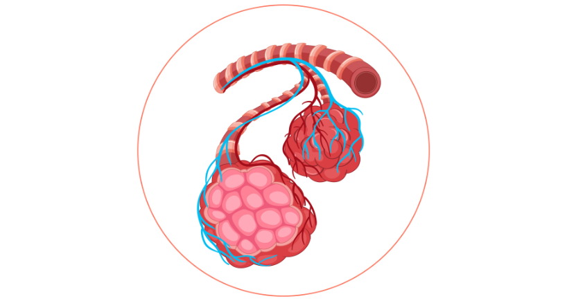 Aortic Aneurysms