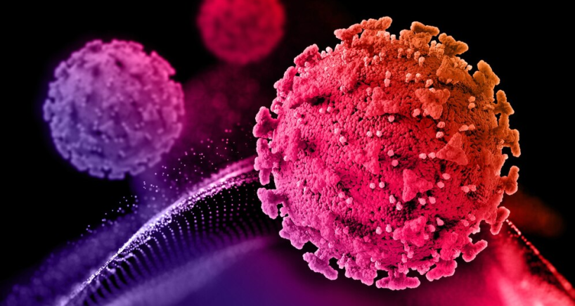  Human Metapneumovirus (HMPV)