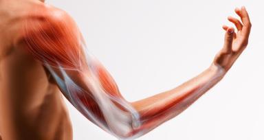 Bicep and Tricep Tendonitis